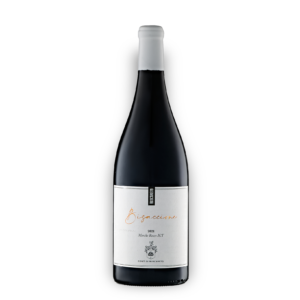 Bisaccione (Magnum)